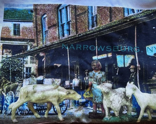 Narrowsburg Main Street Scenes Tee Shirts