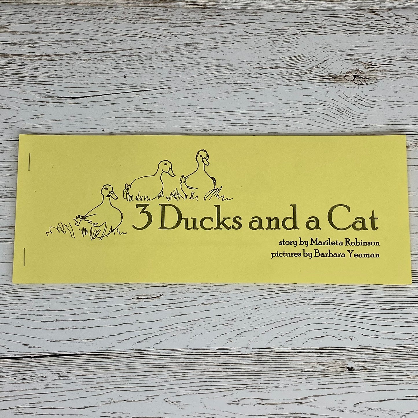 3 Ducks and a Cat