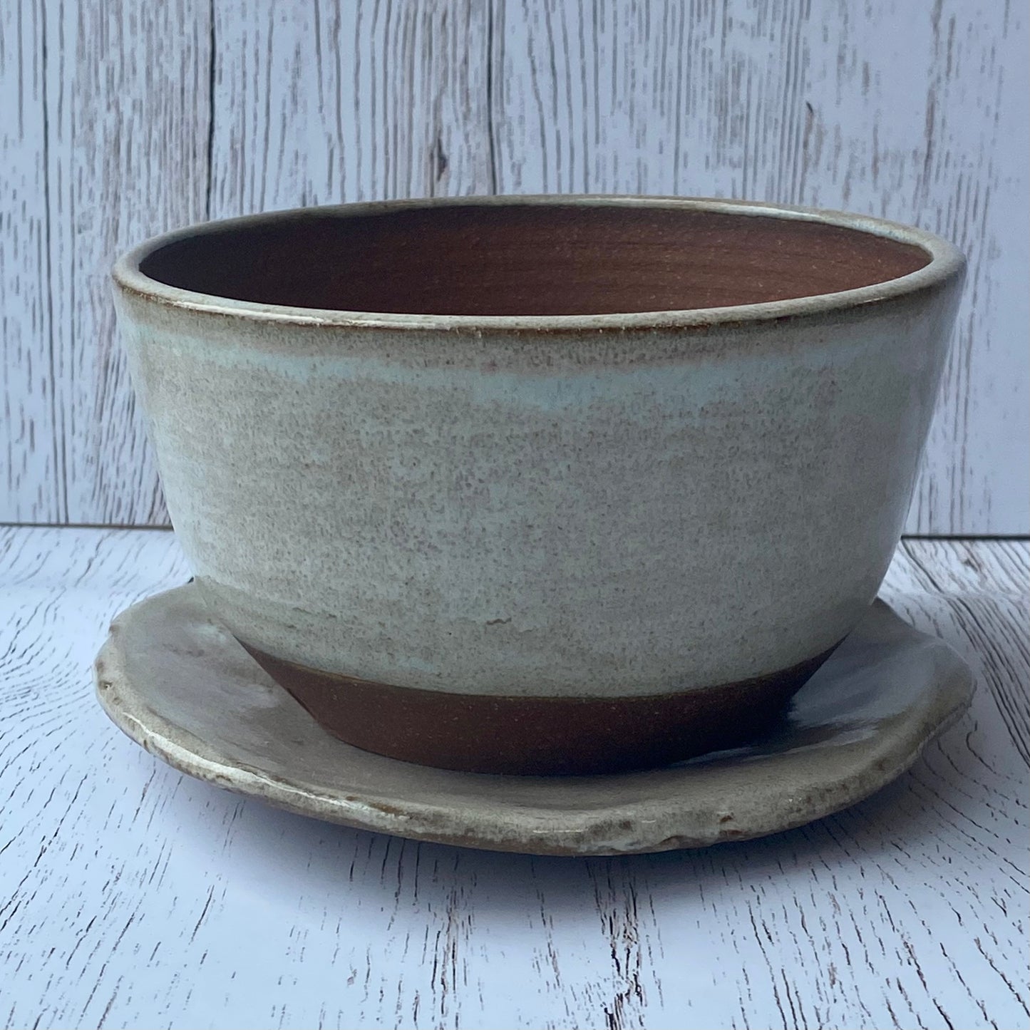Succulent Planter Set Blush