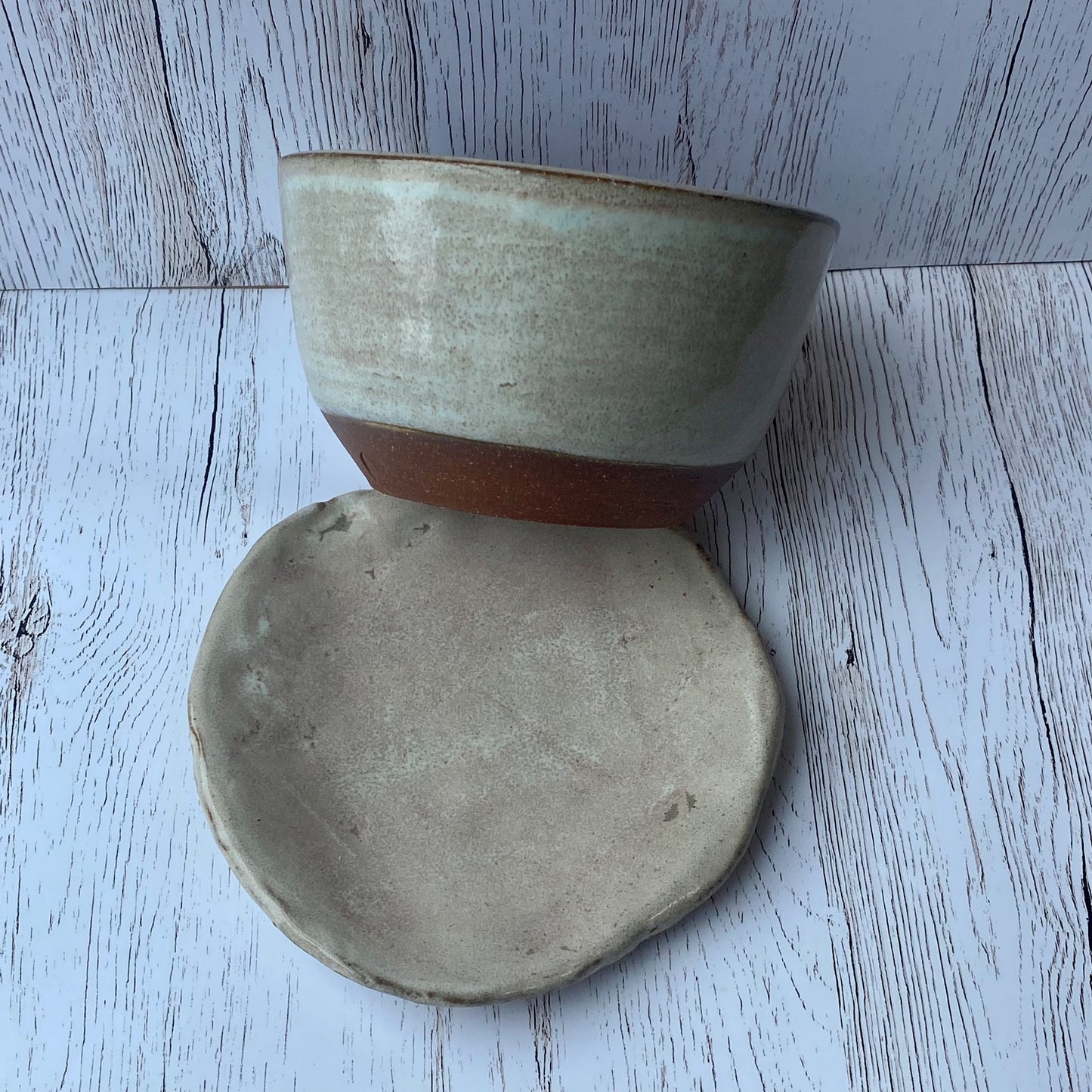 Succulent Planter Set Blush, 4"