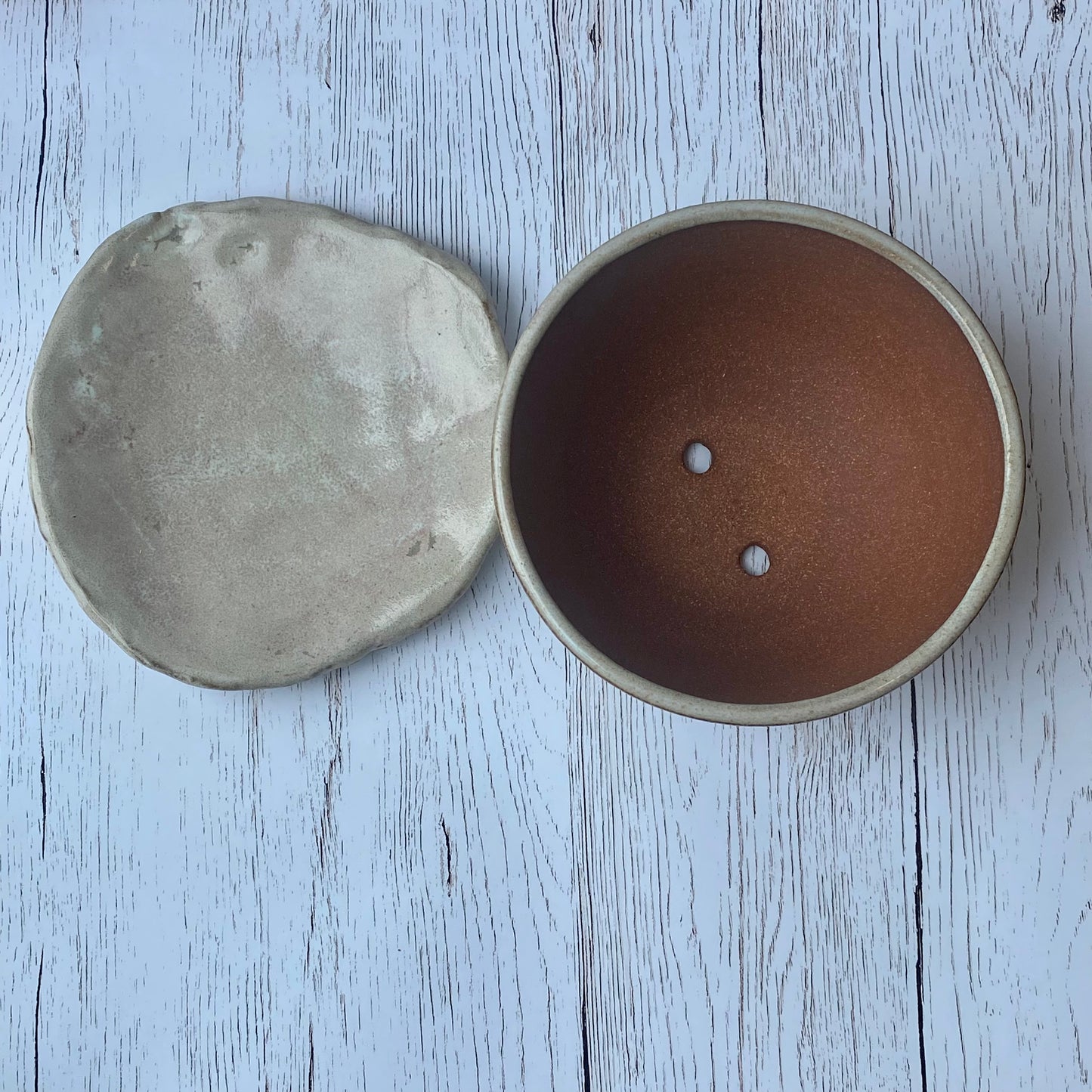 Succulent Planter Set Blush