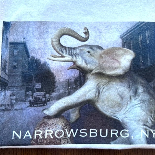 Narrowsburg Main Street Scenes Tee Shirts
