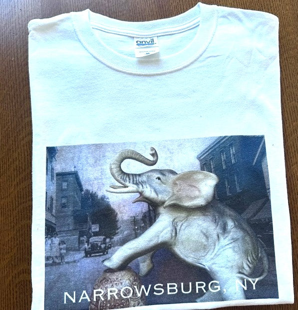 Narrowsburg Main Street Scenes Tee Shirts
