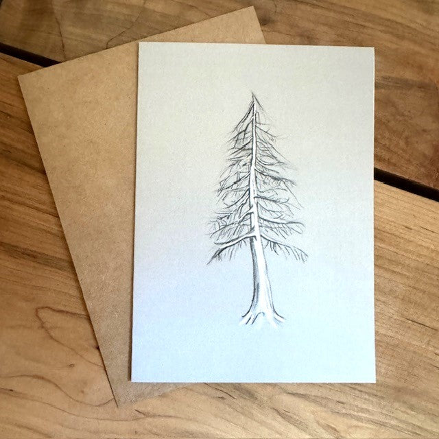 Note Cards