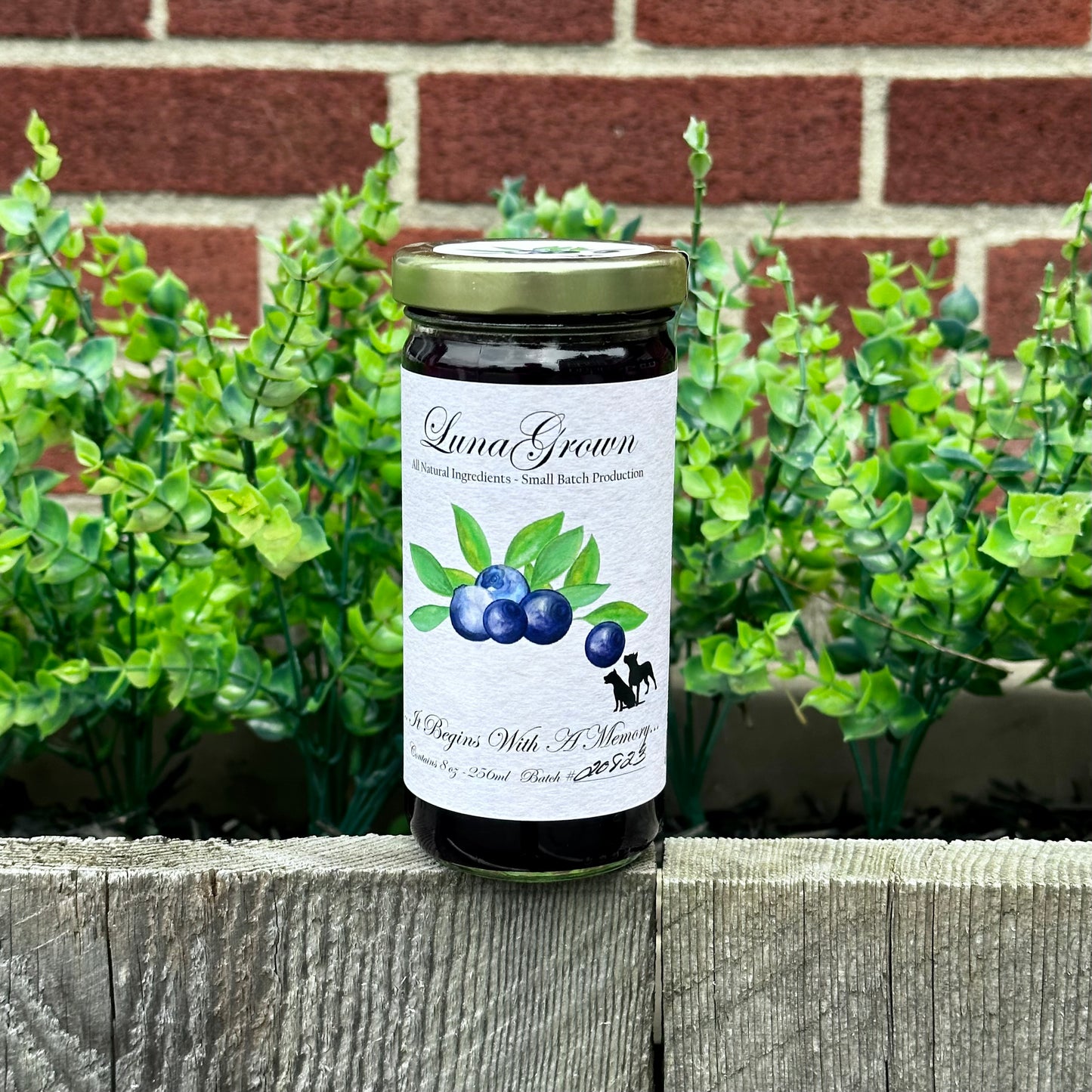 Blueberry Jam