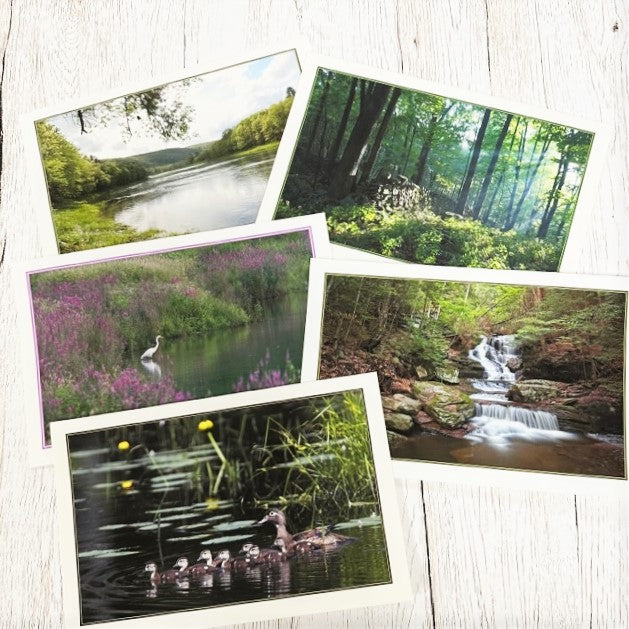 David Soete Photo Greeting Cards (Blank Inside)