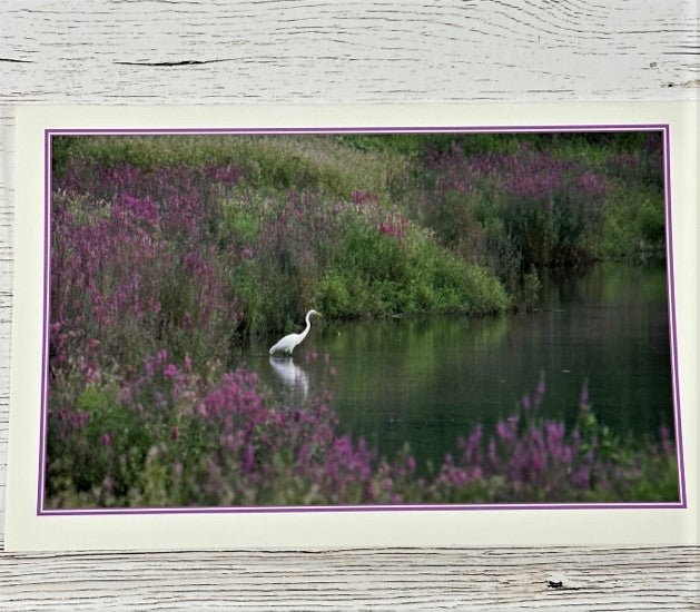 David Soete Photo Greeting Cards (Blank Inside)