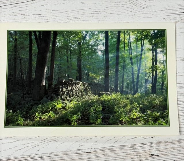 David Soete Photo Greeting Cards (Blank Inside)